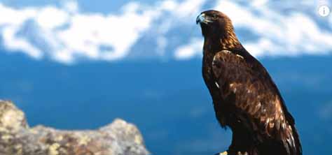 De kracht van Uw liefde