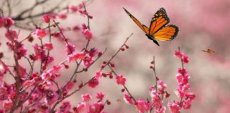 Omgangsvormen – deel 1 van 2