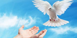 de Heilige Geest – deel 6 van 12