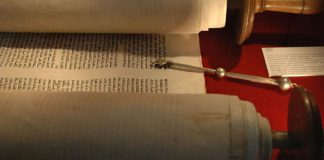 Pentateuch – deel 4 van 6