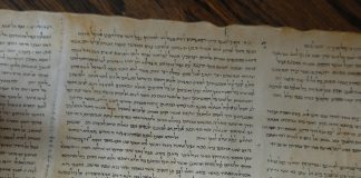 Vervalste Dode Zee-rollen