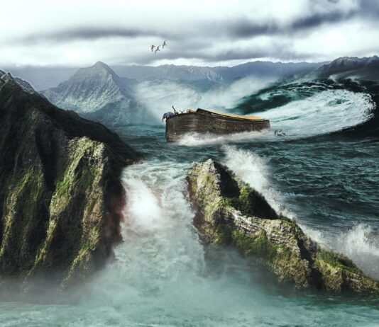 Dr. Jeanson spreekt online over traceerbaarheid Noachs DNA